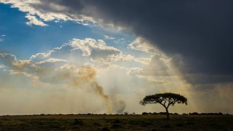 Fire and rainclouds over african landscape with tree silhouette
