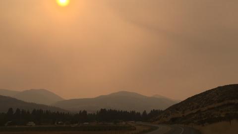 Hazy sky and a country road