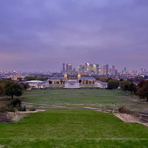 Skyline at dusk with grassy area and city skyscrapers in the distance