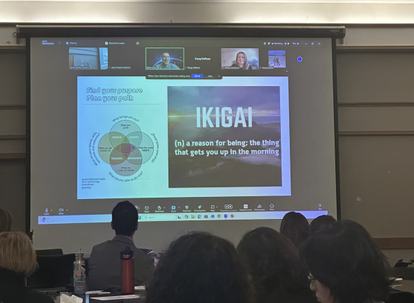 Slideshow being presented with image that says "Ikigai"